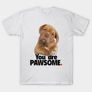 You are PAWSOME T-Shirt